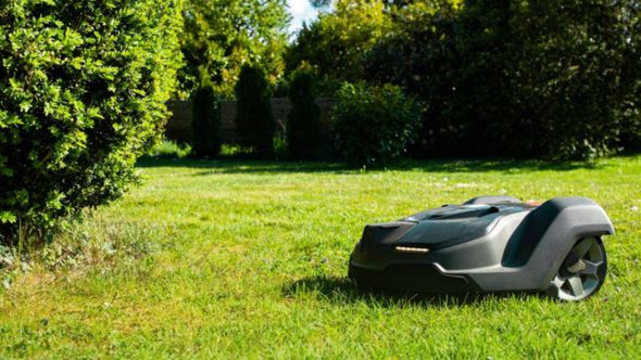 Lawn Mower 