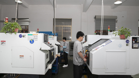 Quality Systems Advancement