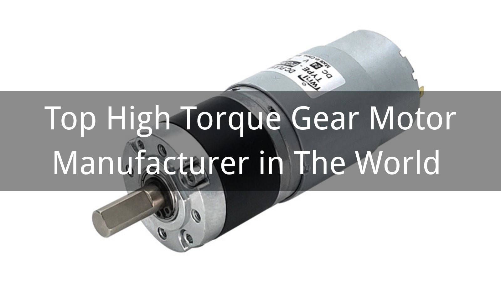 Top 10 High Torque Gear Motor Manufacturer in The World 2025