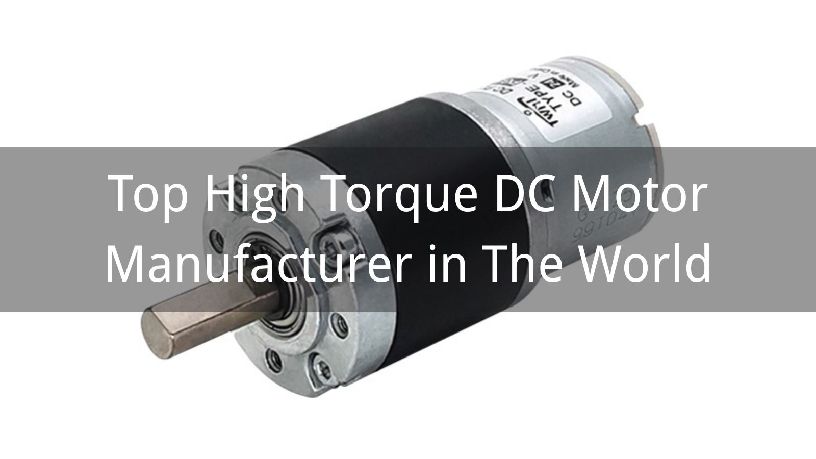 Top 10 High Torque DC Motor Manufacturer in The World 2025