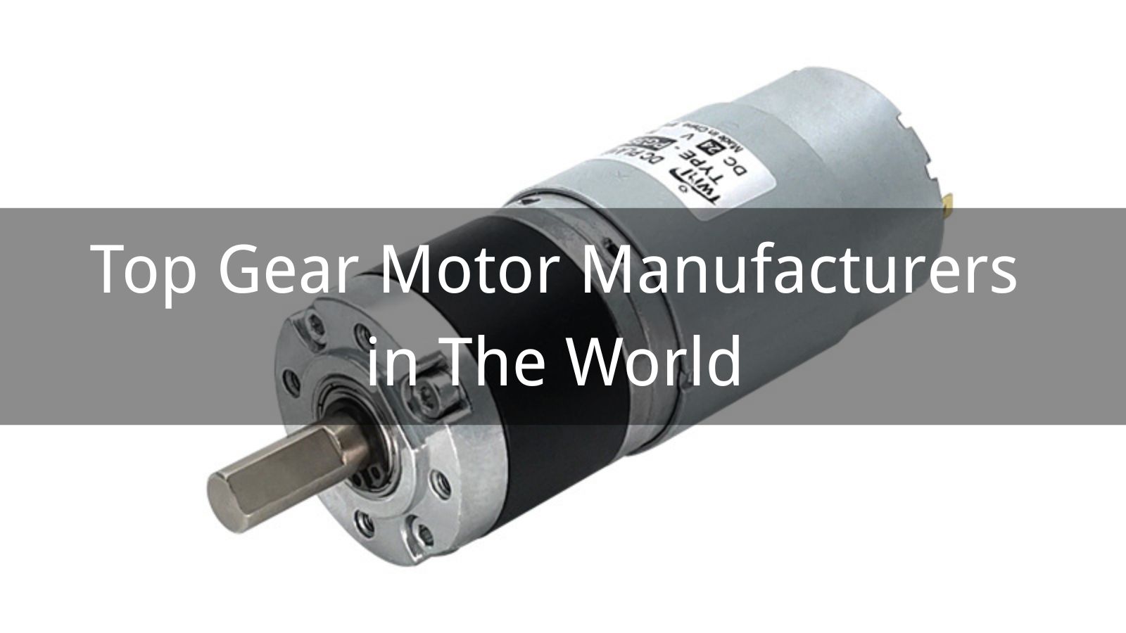 Top 10 Gear Motor Manufacturers in The World 2025