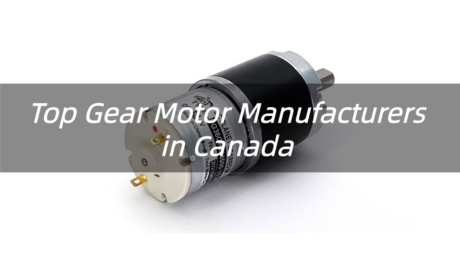 Top 10 Gear Motor Manufacturers in Canada 2026