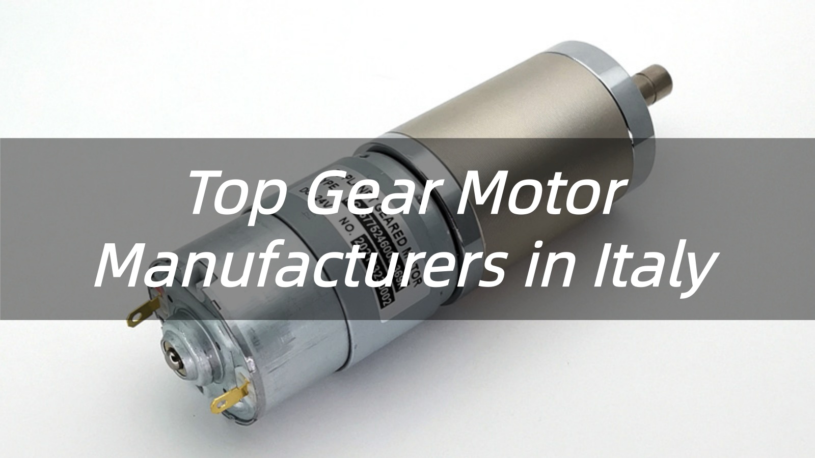 Top 10 Gear Motor Manufacturers in Italy 2026